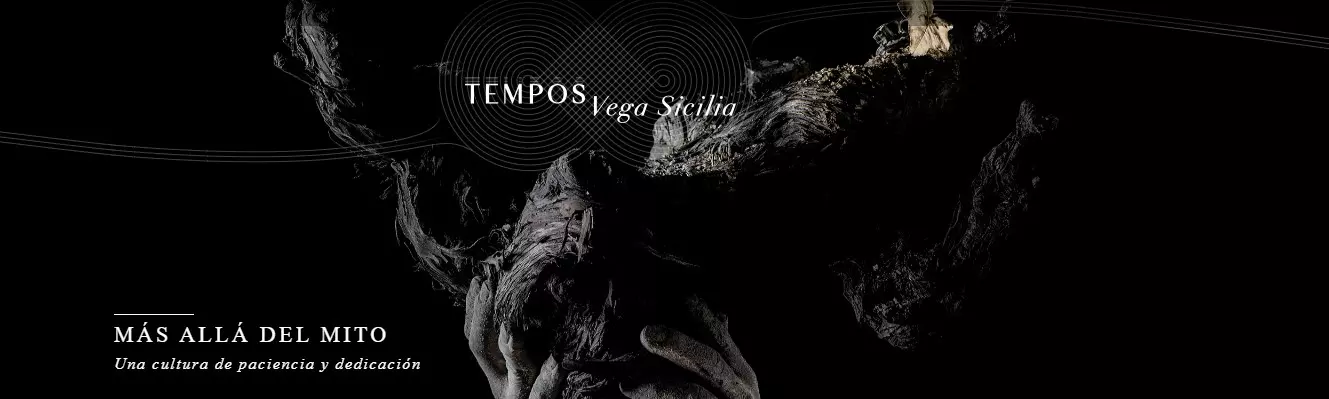 Tempos Vega Sicilia